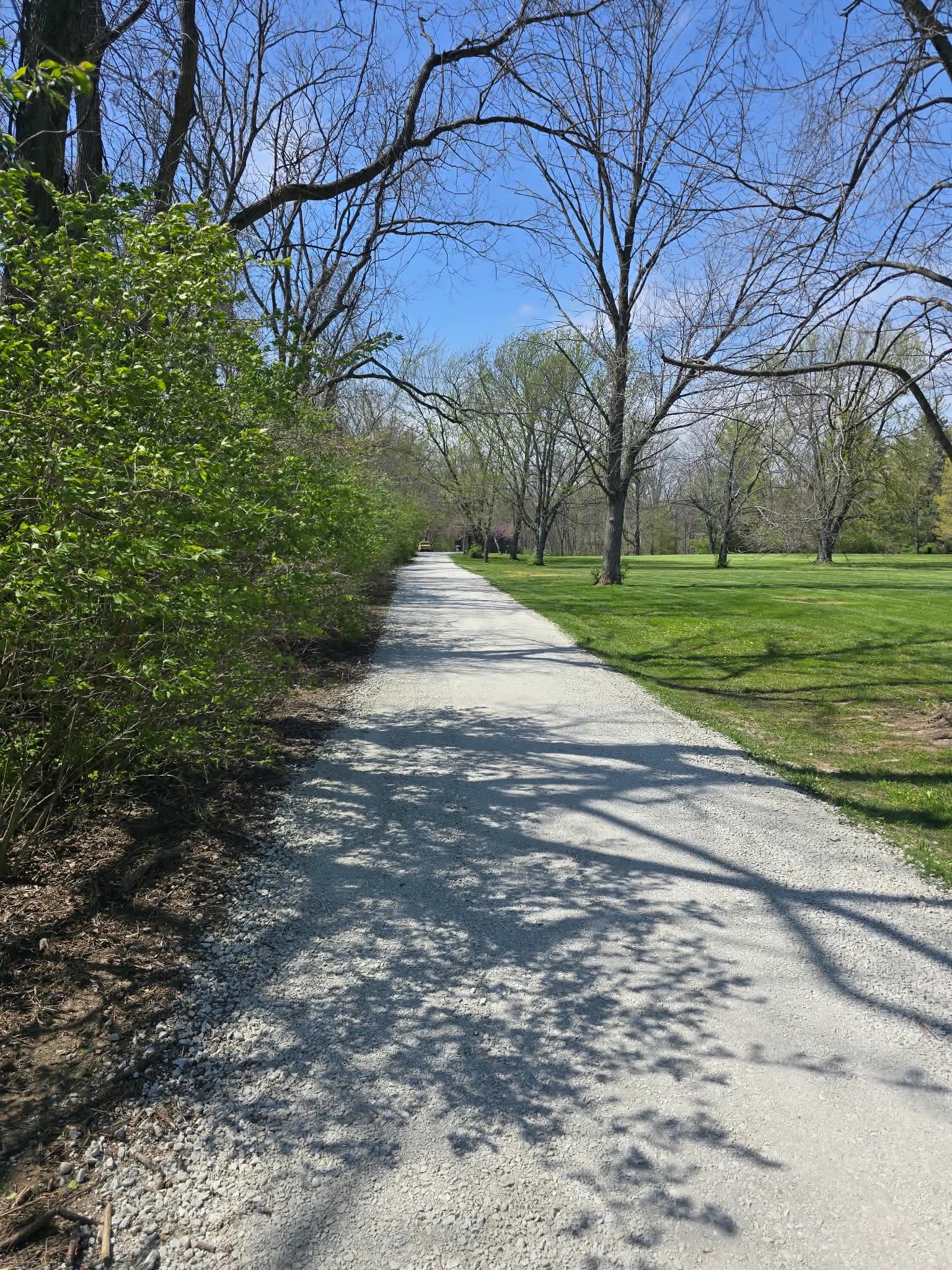 A long gravel drive lined with mature trees