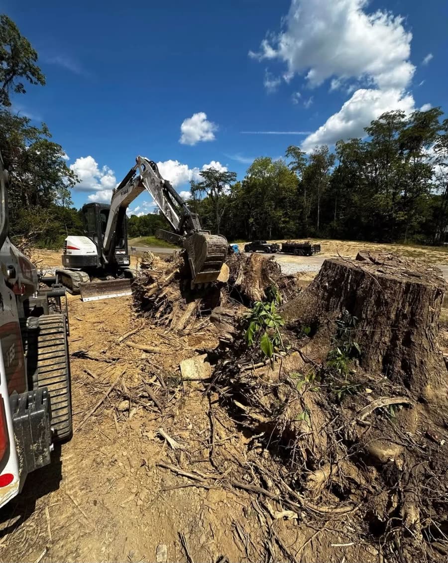 An excavator pulling a large stump from cleared ground